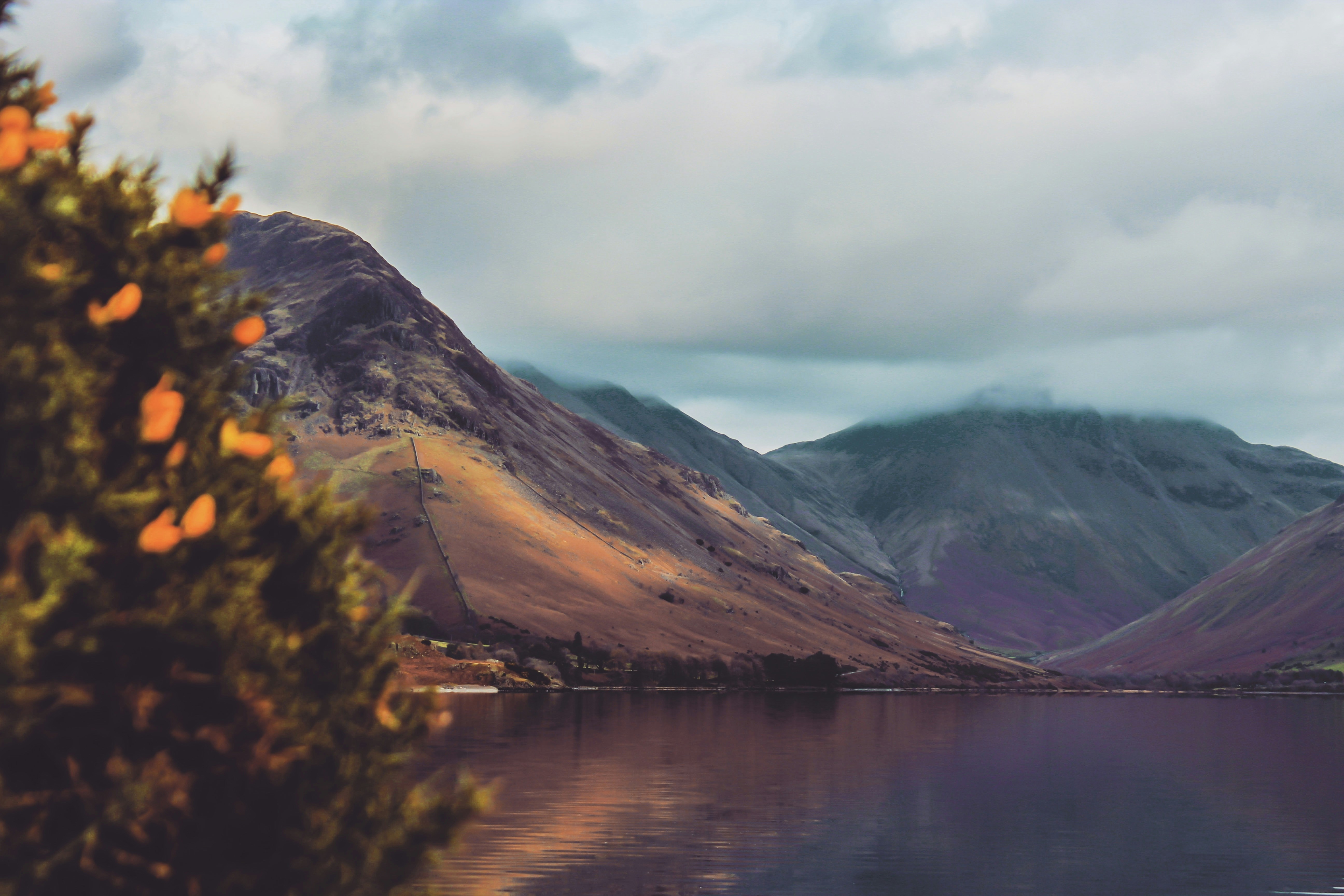 Cumberland Building Society launches new broker portal in partnership with Mast