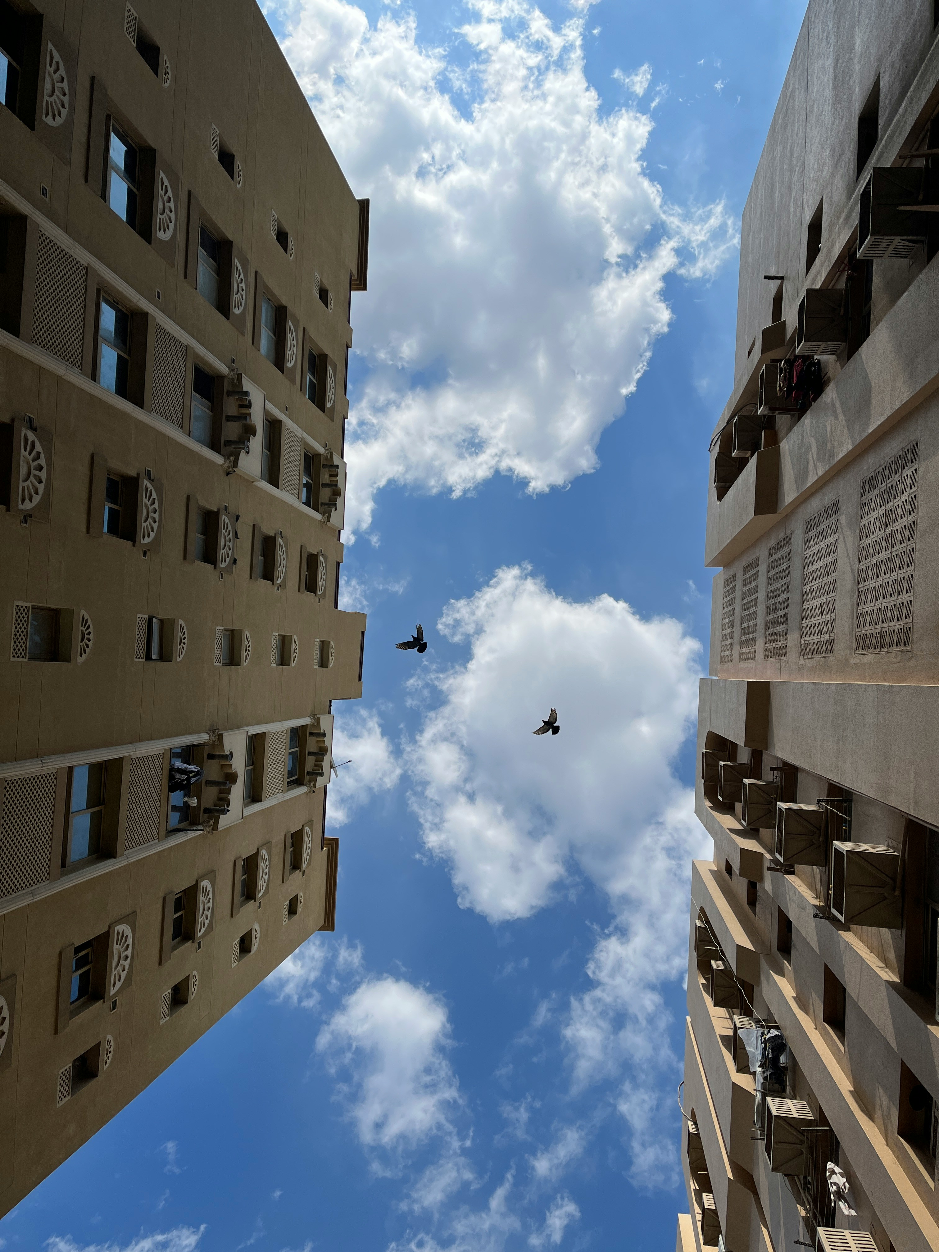 Phoebus adds Mast to its strategic partner programme
